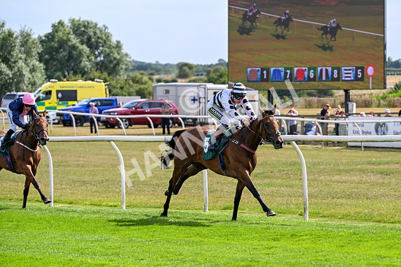 260826-Race 2-Lady Gormire-2367 - Race 2 14:45 Berber Leather Maiden Stakes