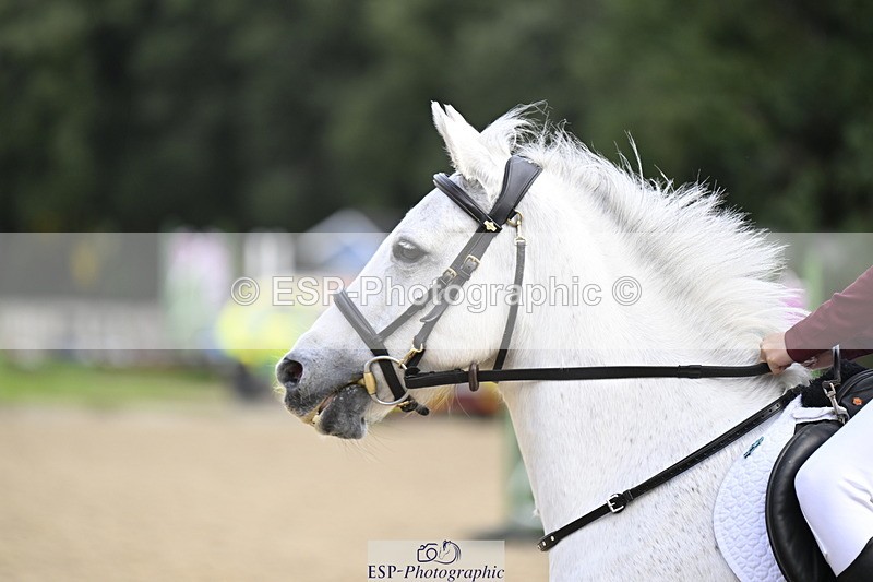 251005A-103134-03340 - Cls 04 GR 70cm