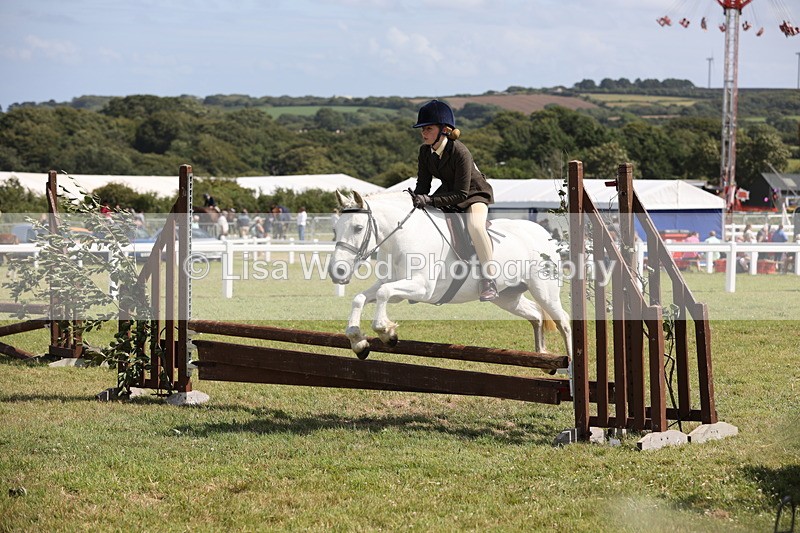 JPP_2244 - Class 19: Working Hunter 60cm