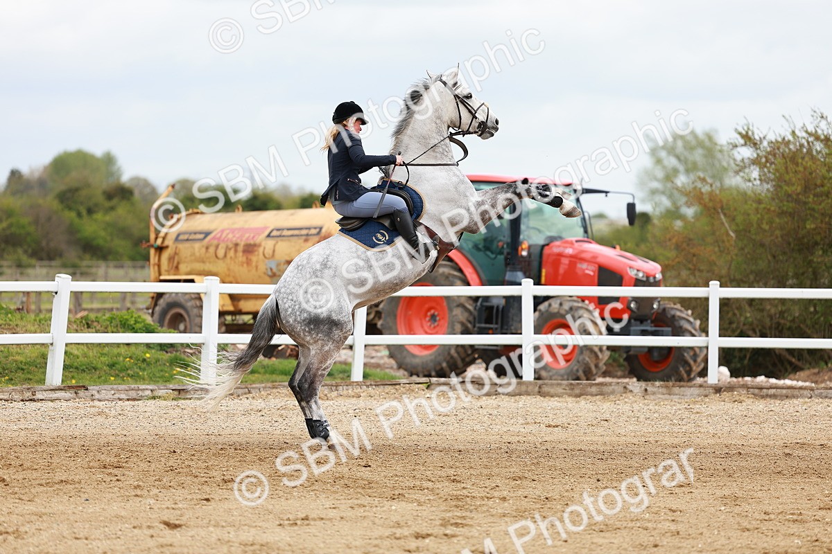 SBM_002528 - Class 10 - Senior Newcomers - 1.10m