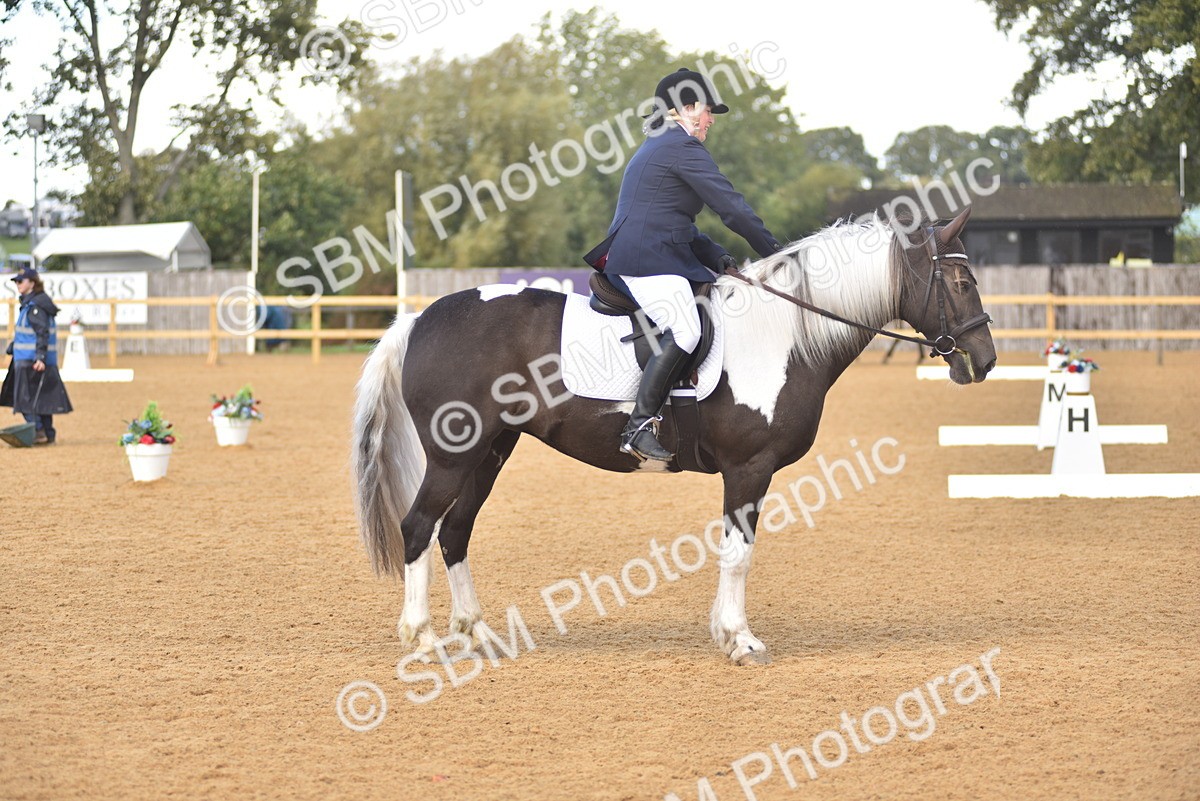 SBM_22406 - D13 - Grand Tour Championship Prelim 3