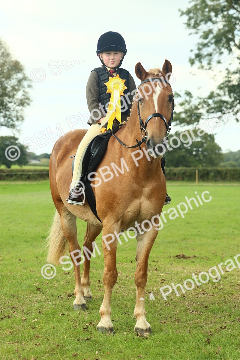 SBM_62542 - S62 - Foreign Breeds Ridden