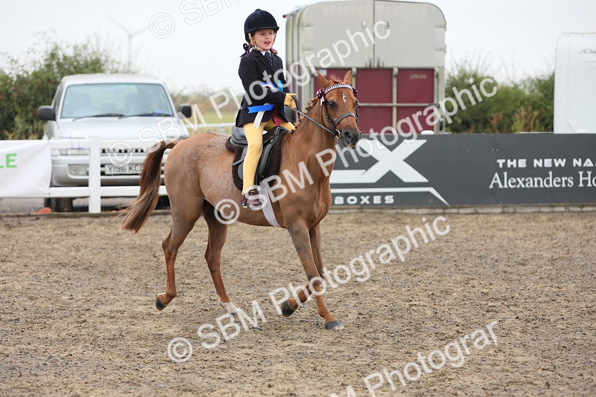 SBM_21906 - Class 806 - Young ridder 10 Yr & Under