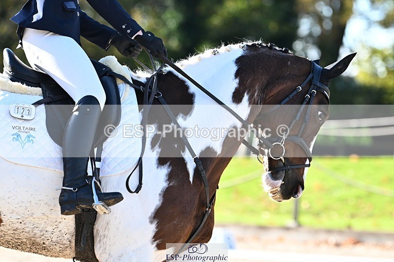 231110-114514-00521 - Cls 3 Novice 22