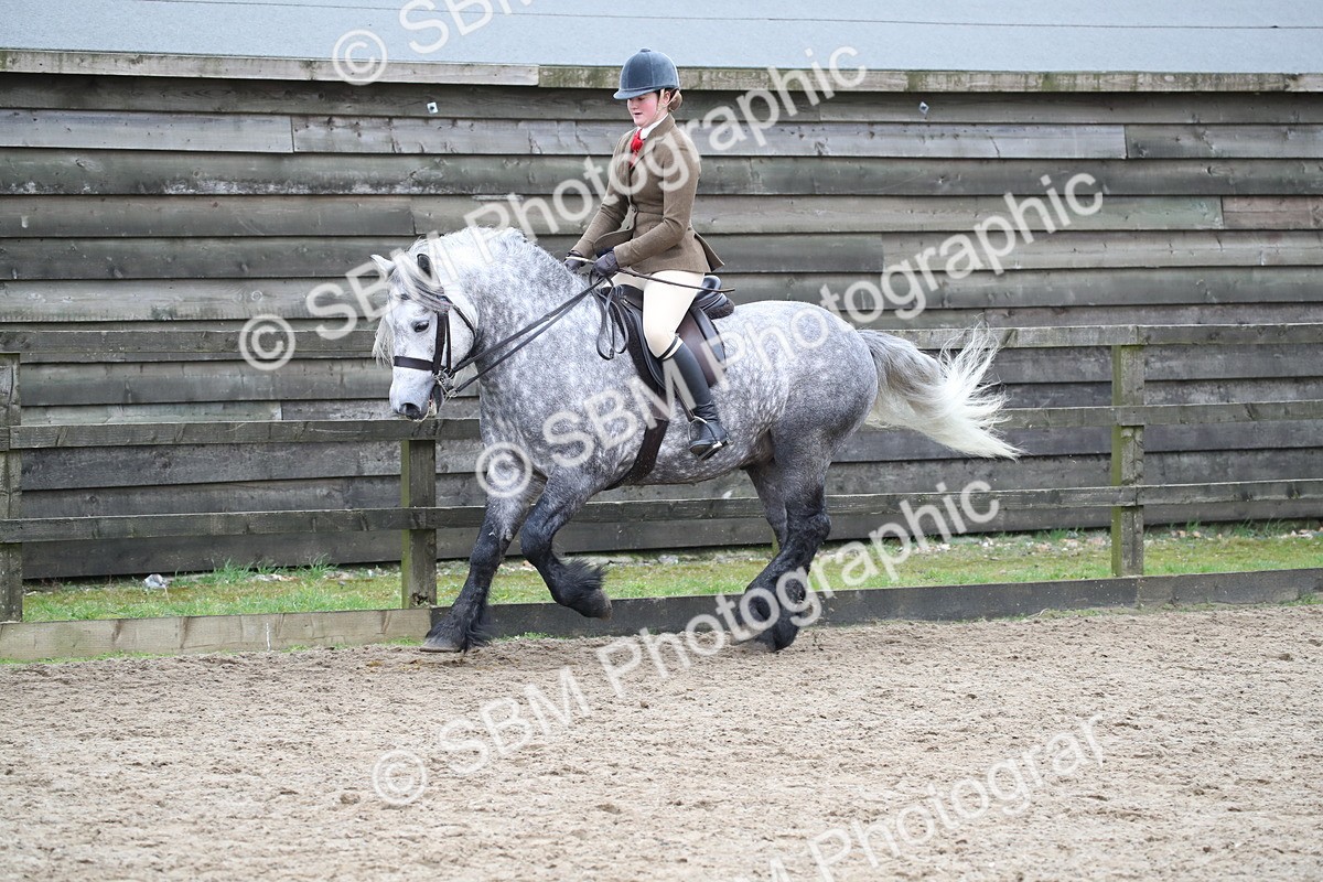 SBM_006388 - Class 10-13 - RIHS Small Large Breeds