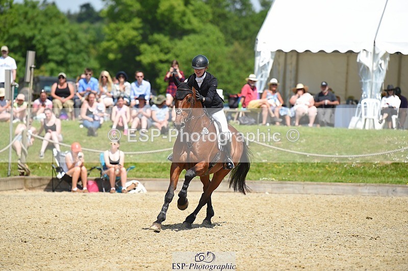 230528-115900-15473 - 306-JELSON-Lucy_Collecott-SUNTrotUp+SJ