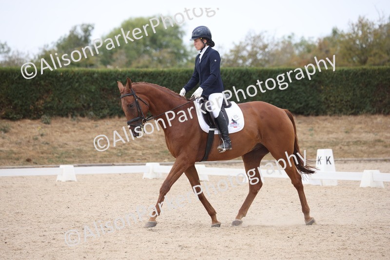 20260816-0911 - Class 4 - Novice 6
