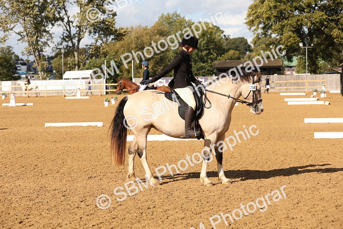 SBM_50407 - D12 - Small Tour Championship prelim 2