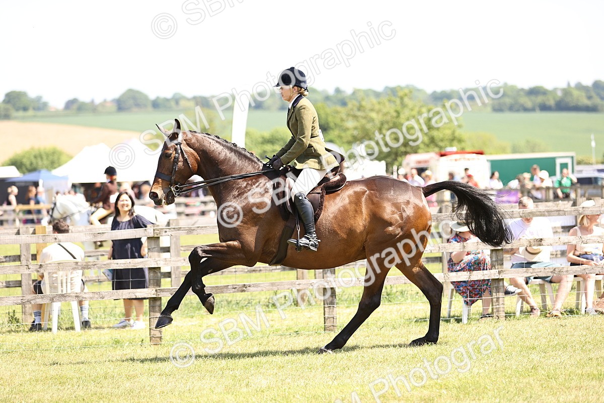 SBM_15131 - Class 79-80 - LIHS BSHA Rising Star Ridden Hunter