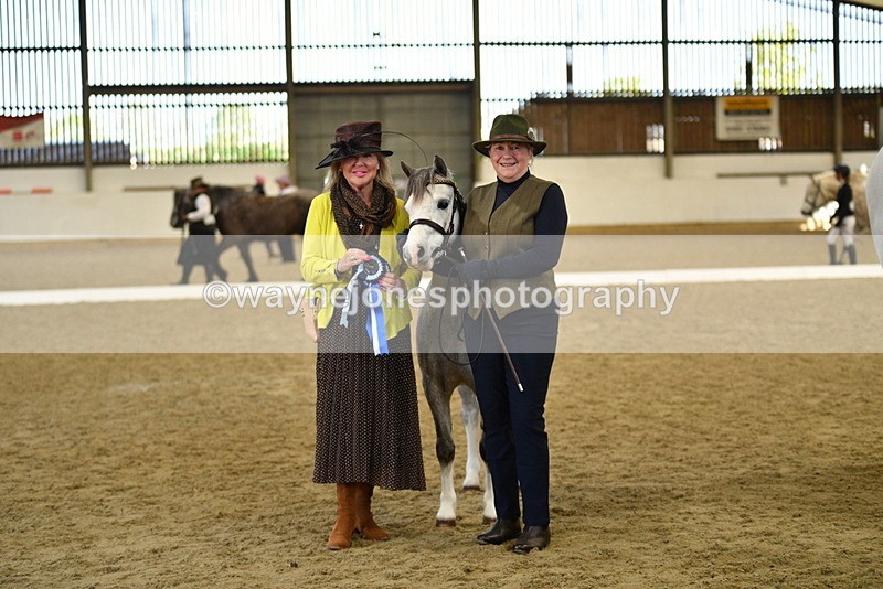 WJ5_4108 - Class 2 Best Condition In hand