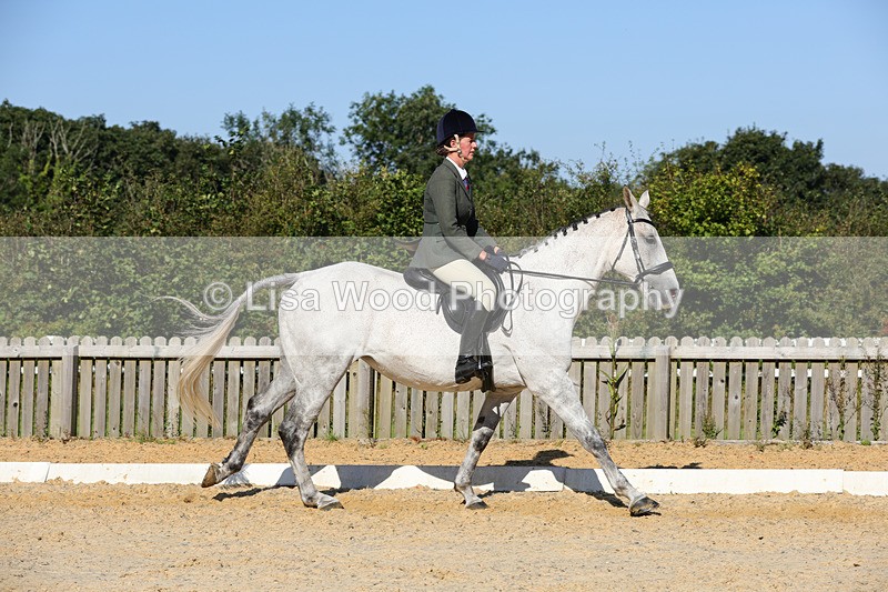 1X9A7746 - Class 9: Open Ridden Hunter