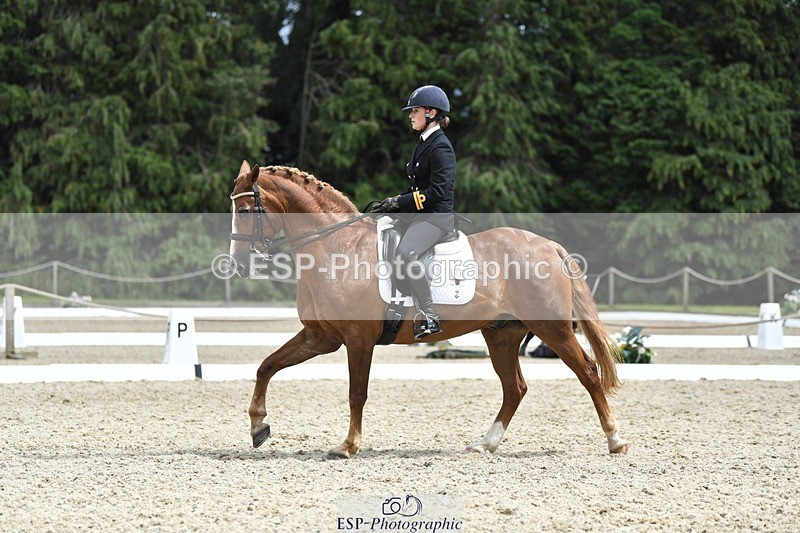 230812-141958-04673 - Cls 7 FEI PSG Bronze