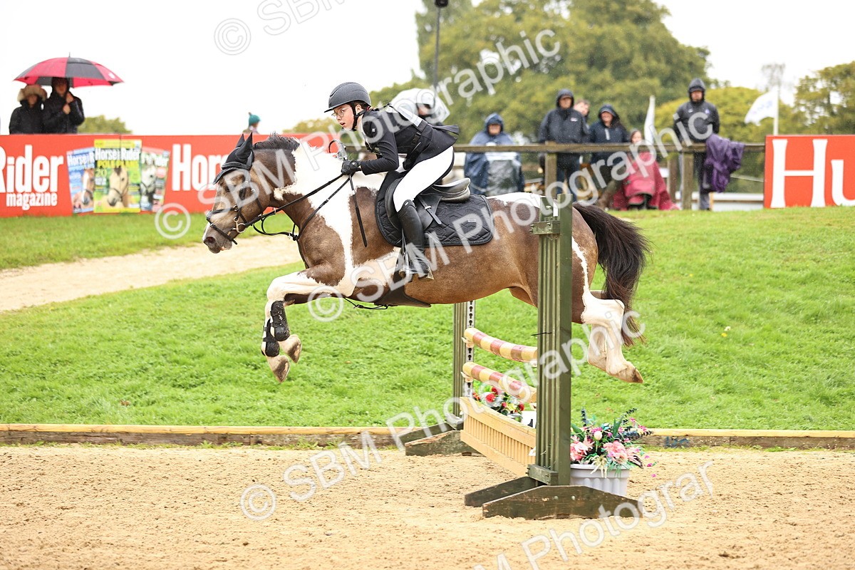 SBM_70011 - Supreme Championship 80cm 85cm