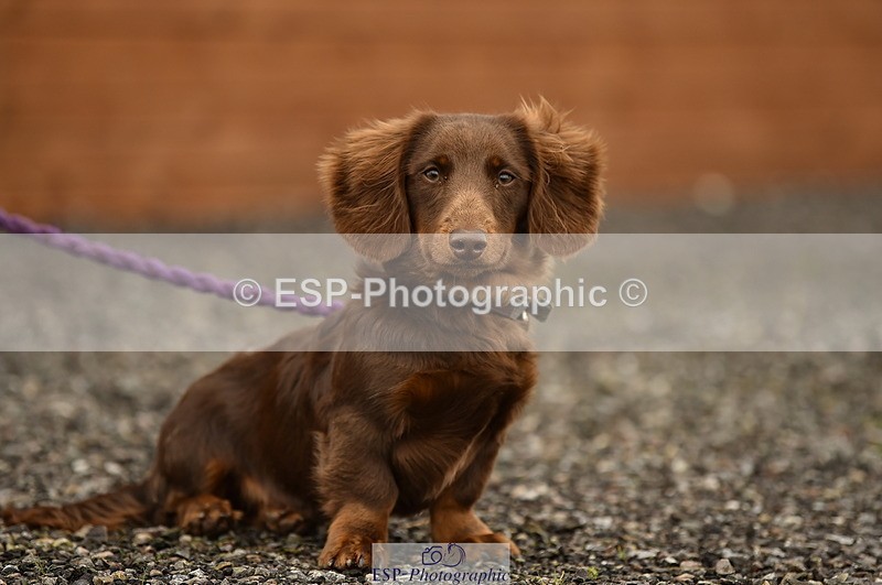 240403A-123252-00417 - Cls 2 Discovery and 1m Open