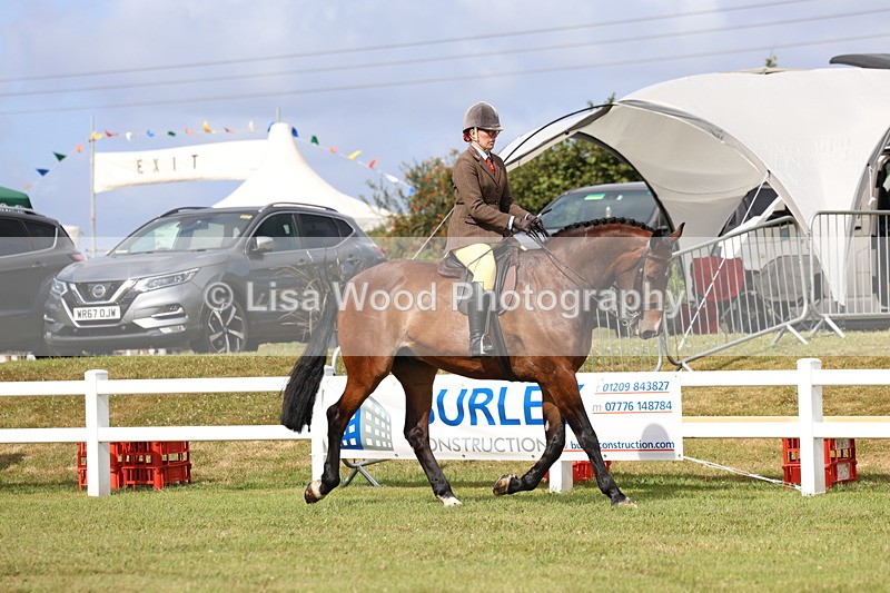 3E7A9281 - Class 4: Rising Star M/H Hunter