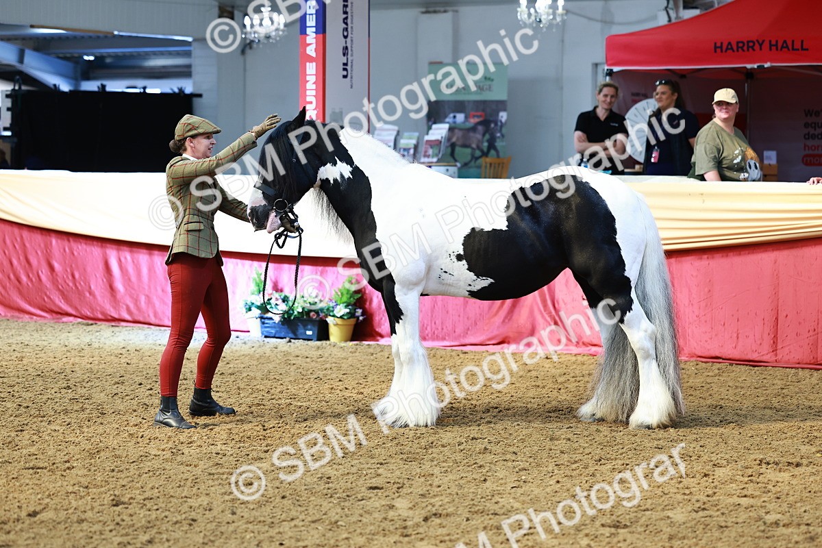 SBM_23242 - Class 903 - Supreme Final - IH Pre Vet