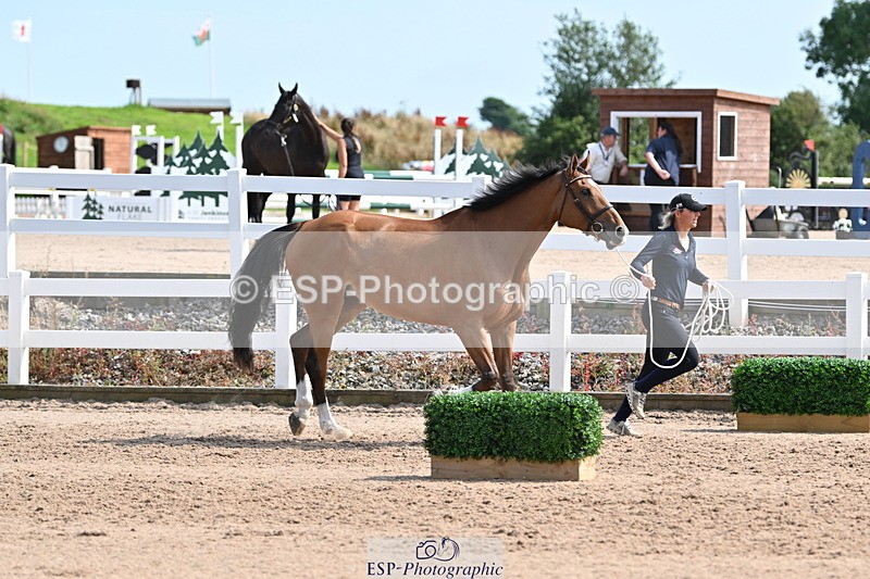 240717A-160138-03265 - Trot Up 4pm to 5pm