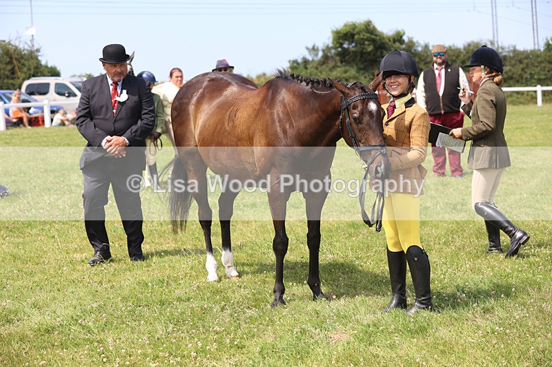 JPP_3429 - Class 22: Working Hunter 70cm