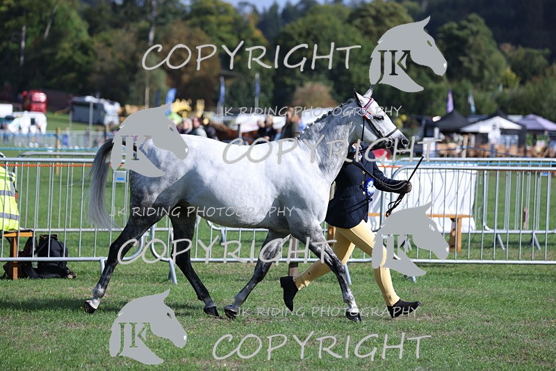 APP_2552 - Class 18 Young Handler