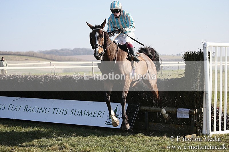 PtP 240218 275 - Vine & Craven Hunt Point-to-Point Barbury racecourse 24/02/18