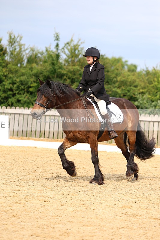 3E7A9077 - Class 2: Intro 1 2024 Section B