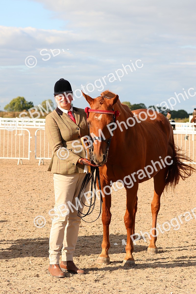 SBM_18426 - Class 318 - IH Part Bred Horse Pony