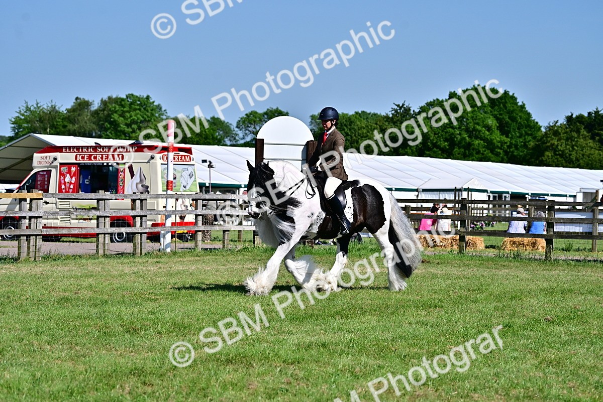 SBM_19386 - Class 101-102 - BSPS LIHS Performance Coloured Horse/Pony