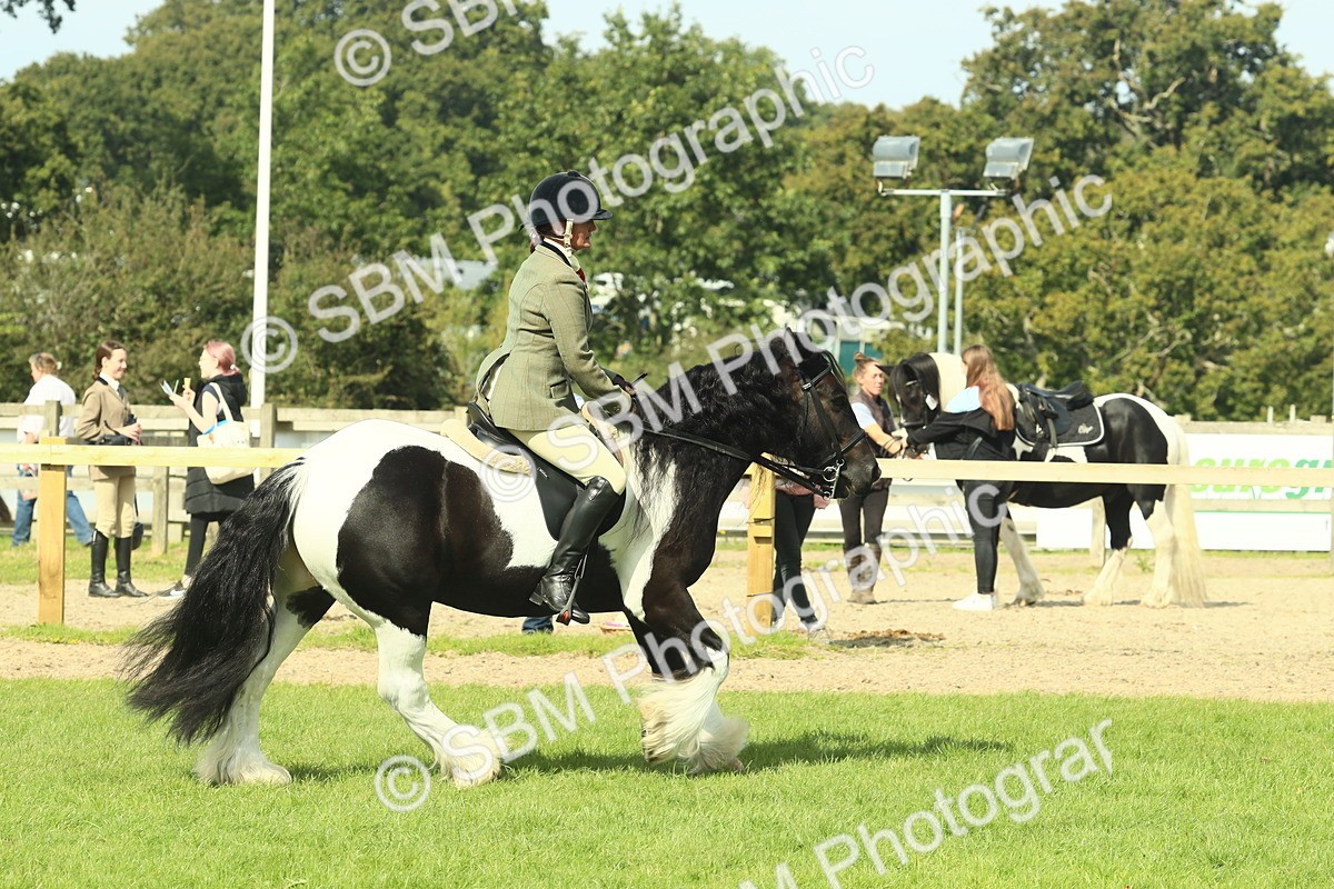 SBM_67577 - S56 - Coloured Pony Ridden