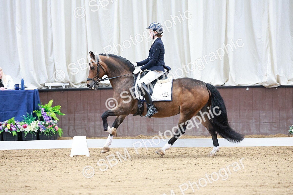 SBM_017160 - Class15 - FEI Pony