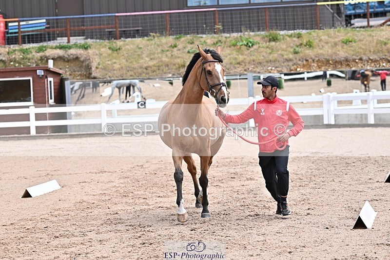 250716-130329-00292 - Trot Up 12.30 to 1.30