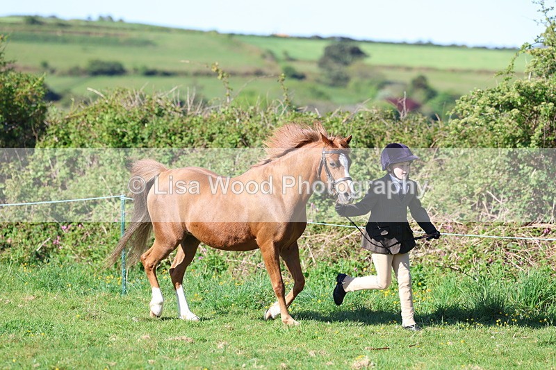 3E7A8346 - Class 12: M & M Small Breeds