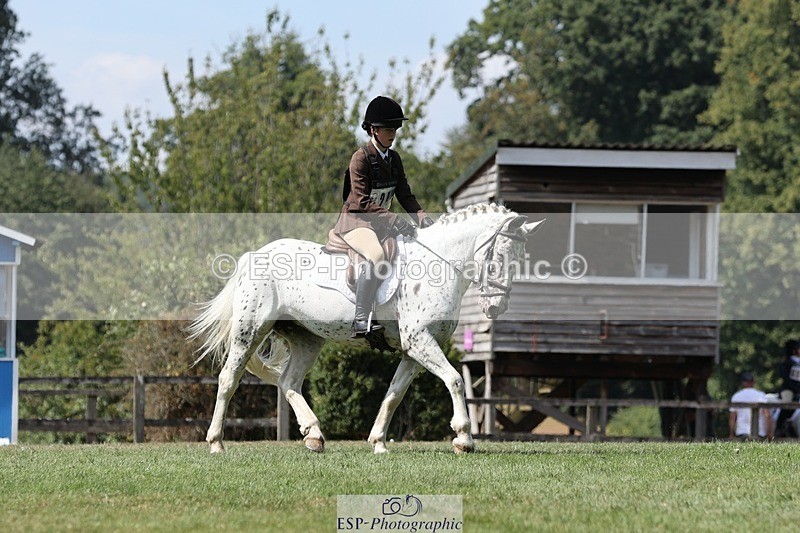 250823A-131838-31275 - Arena D