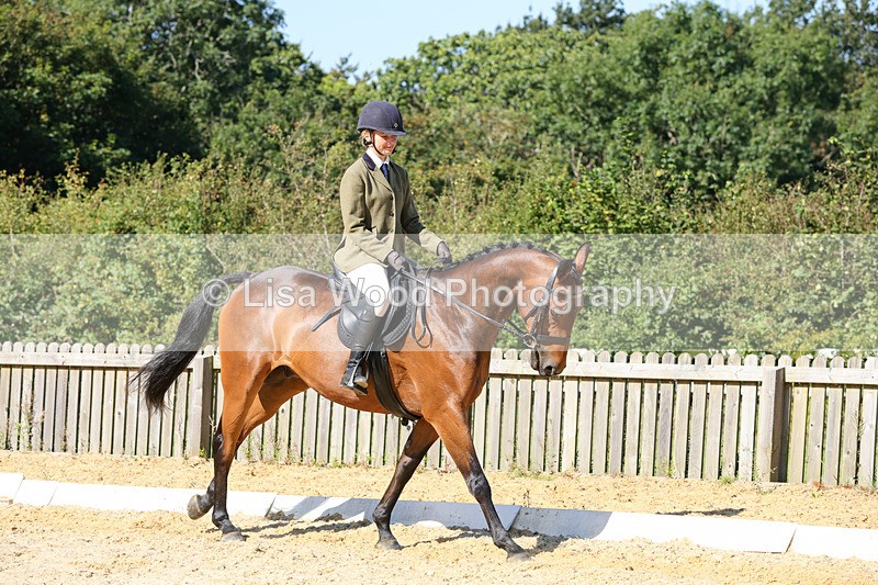 1X9A7874 - Class 10:Riding Horse