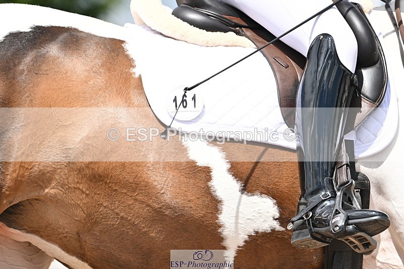 240621A-122610-02131 - Cls 7 BD Elementary 45