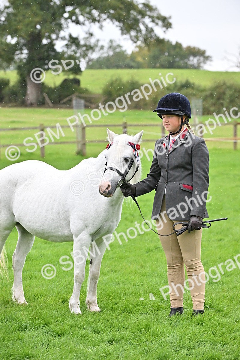 SBM_68607 - S42 - Junior Handler 9-12 Years