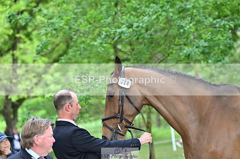 250521A-170406-01502 - C-284-Harry.Dzenis-KILBUNNY.MAXIMUS