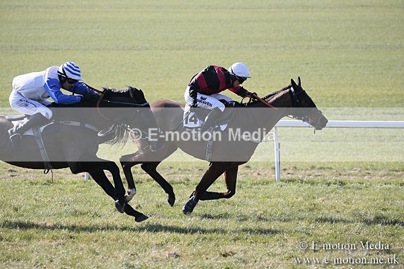 PtP 240218 68 - Vine & Craven Hunt Point-to-Point Barbury racecourse 24/02/18