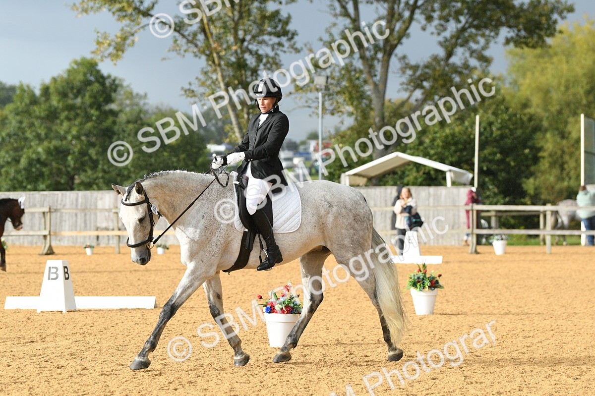 SBM_11162 - D28 Elementary Taster Elementary 42