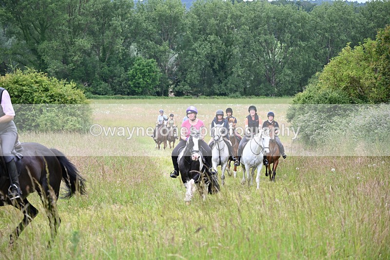 WJ6_8385 - Camera 1 Gallops