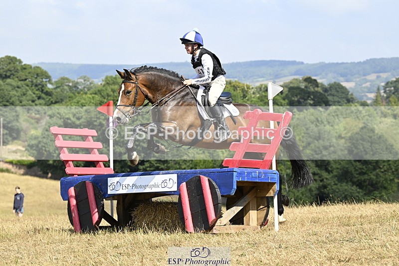 250824A-145231-38850 - 2147-George.Walford-meadow.sweet.conker