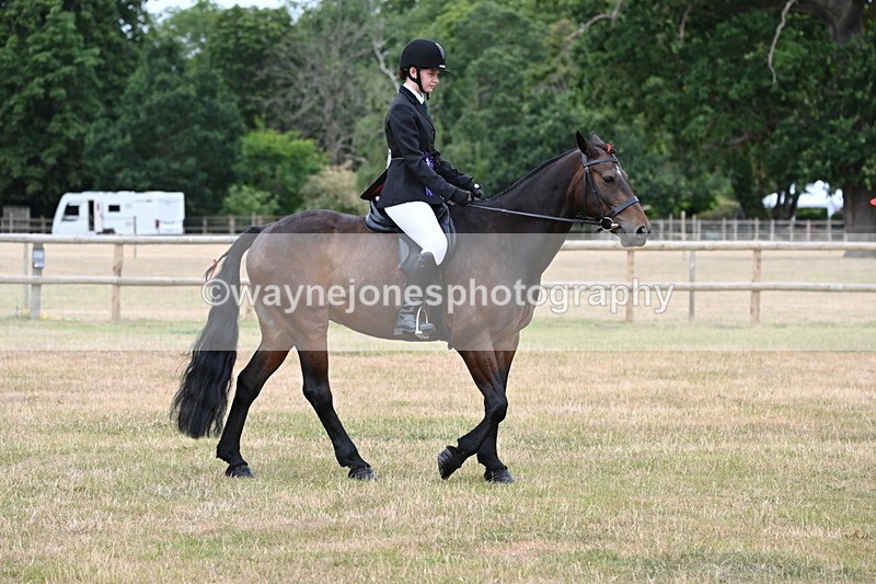 WJ6_4109 - Class 9 Tack & Turnout