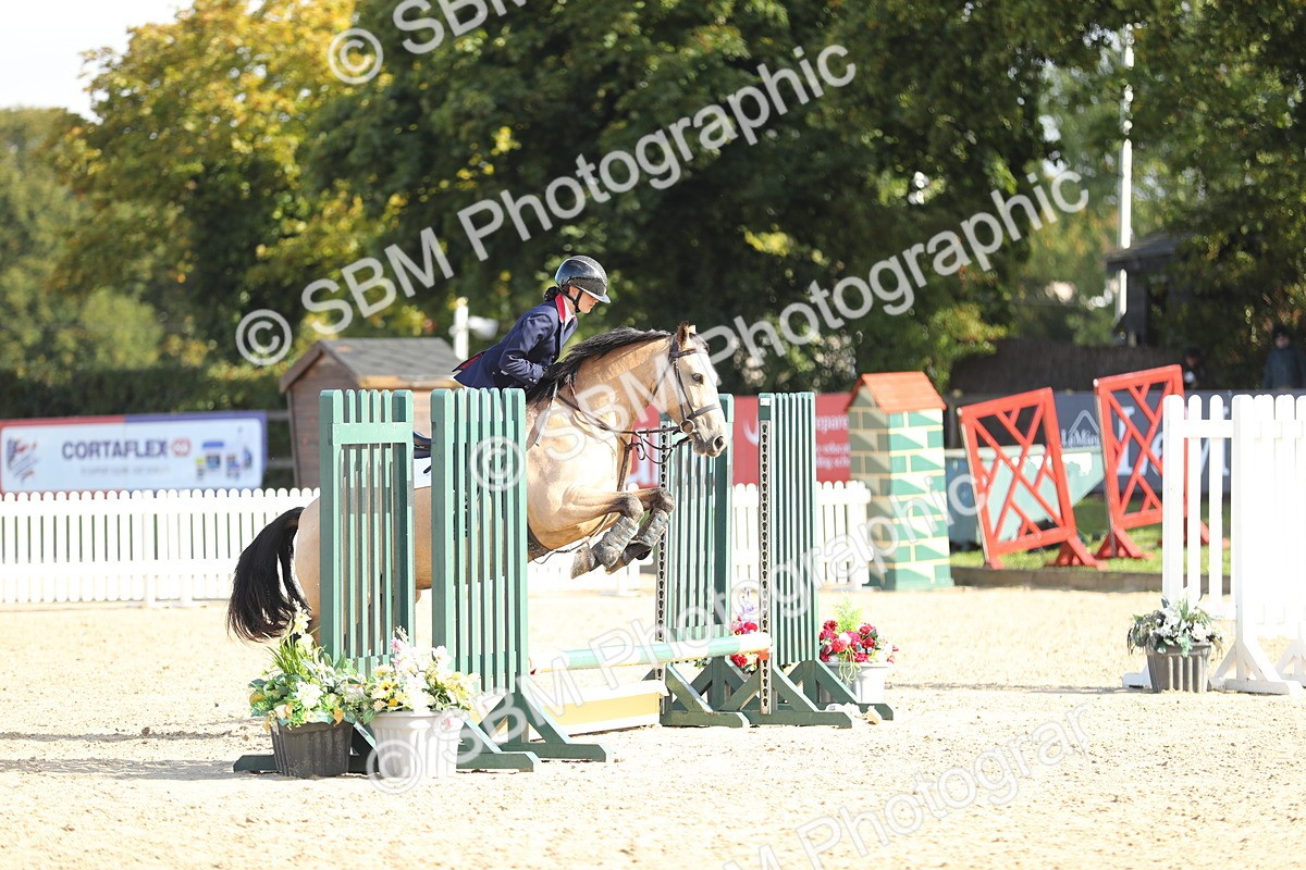 SBM_37351 - J20 - Junior Horse 50cm Championship