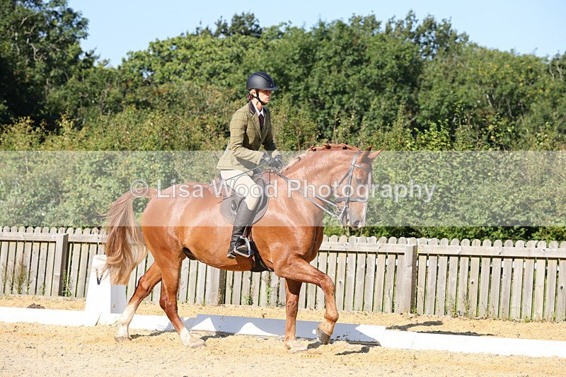 1X9A7750 - Class 9: Open Ridden Hunter