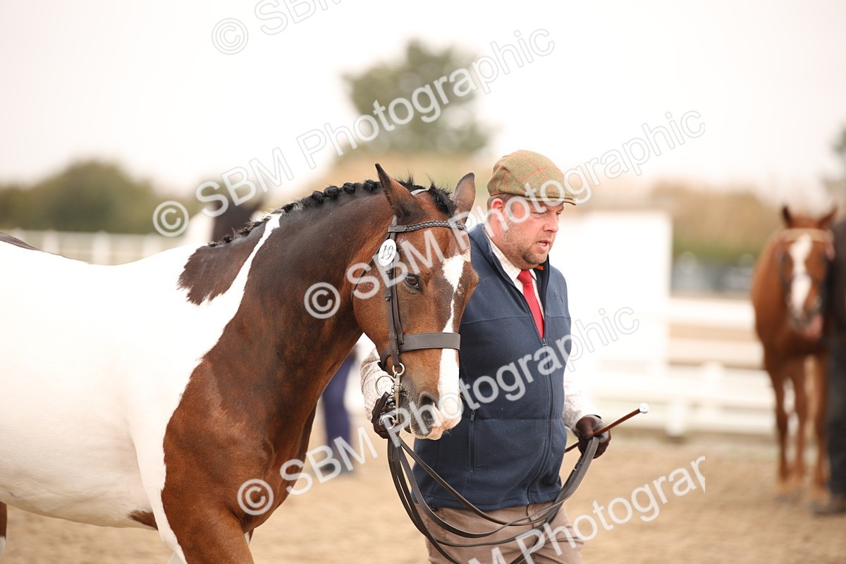 SBM_22127 - Class 707 - Ridden Groom-Helpers Class