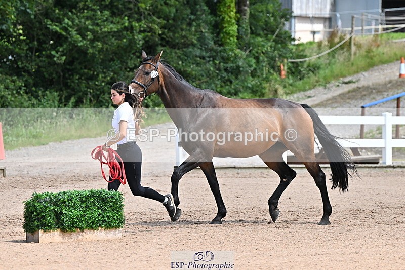 240718A-105250-01230 - Trot Up 12pm to 1pm