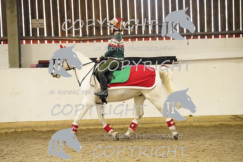 _DSC3288 - 50cm/60cm Pairs