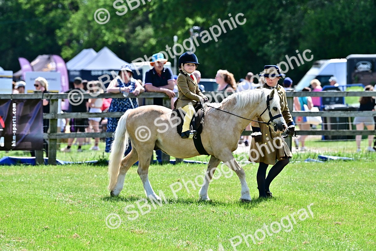 SBM_05746 - Class 59-60 - TSR M&M  Lear Rein and First Ridden Amateur of the year