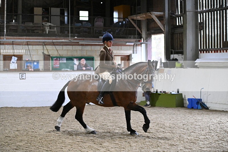 WJ7_3844 - Class 17 Ridden Cob