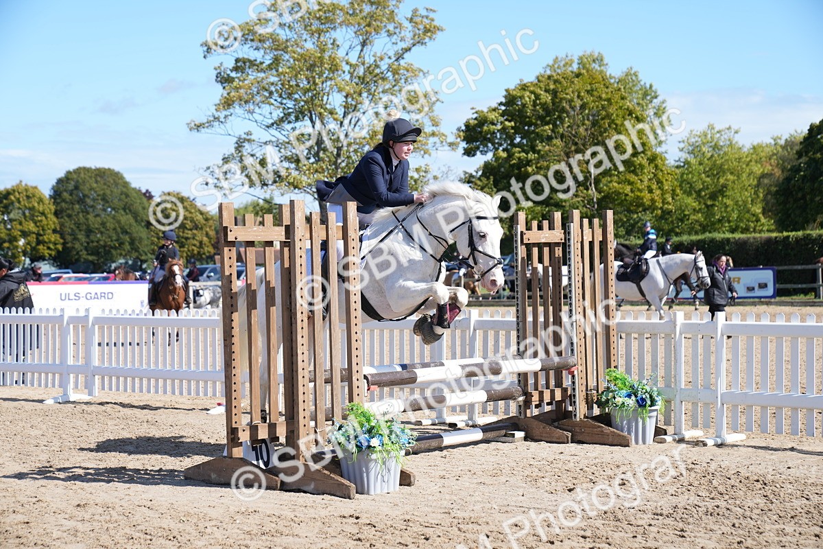 SBM_04884 - J56 - Clear Round 70cm