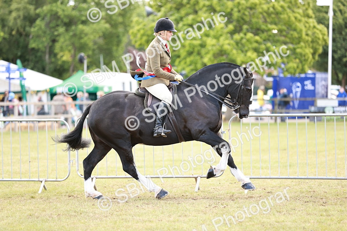 SBM_14122 - Class 85-87 - RIHS Cobs